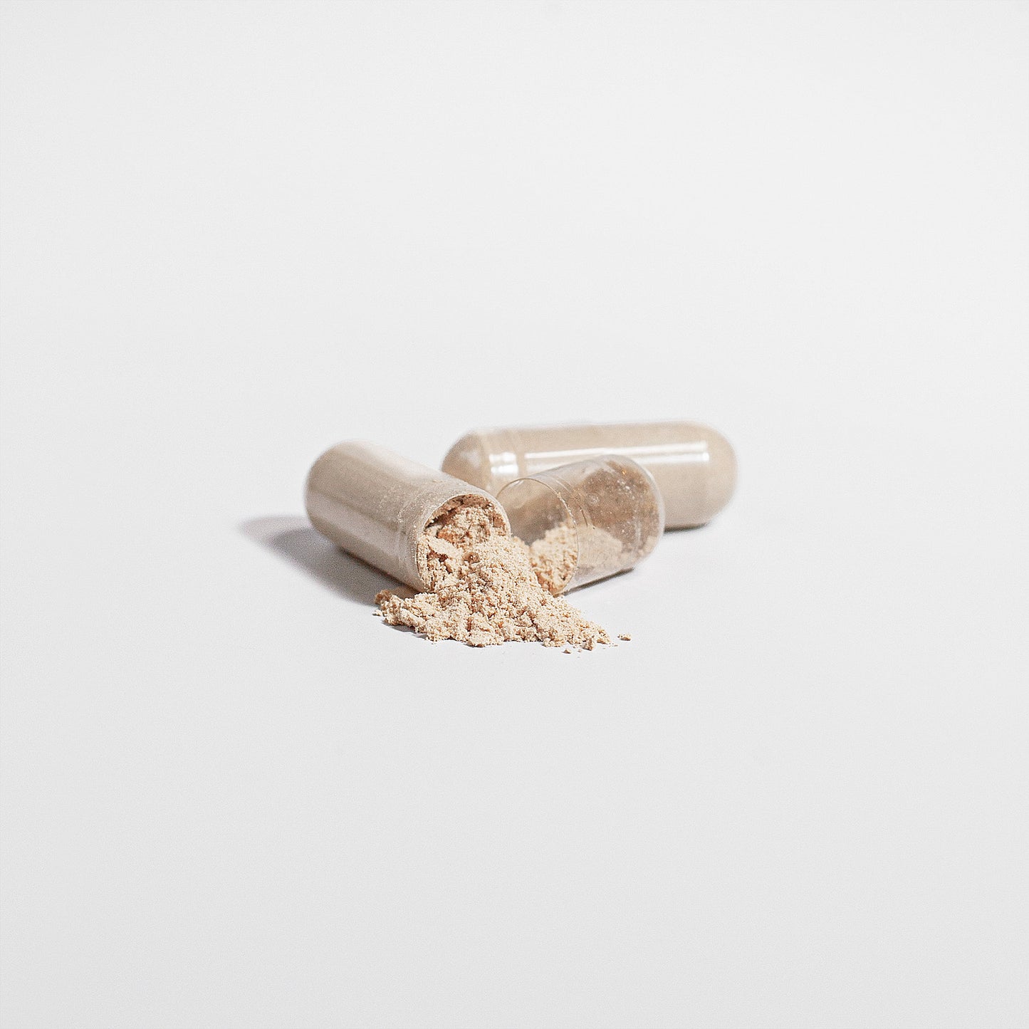 Atomic Cordyceps | capsules
